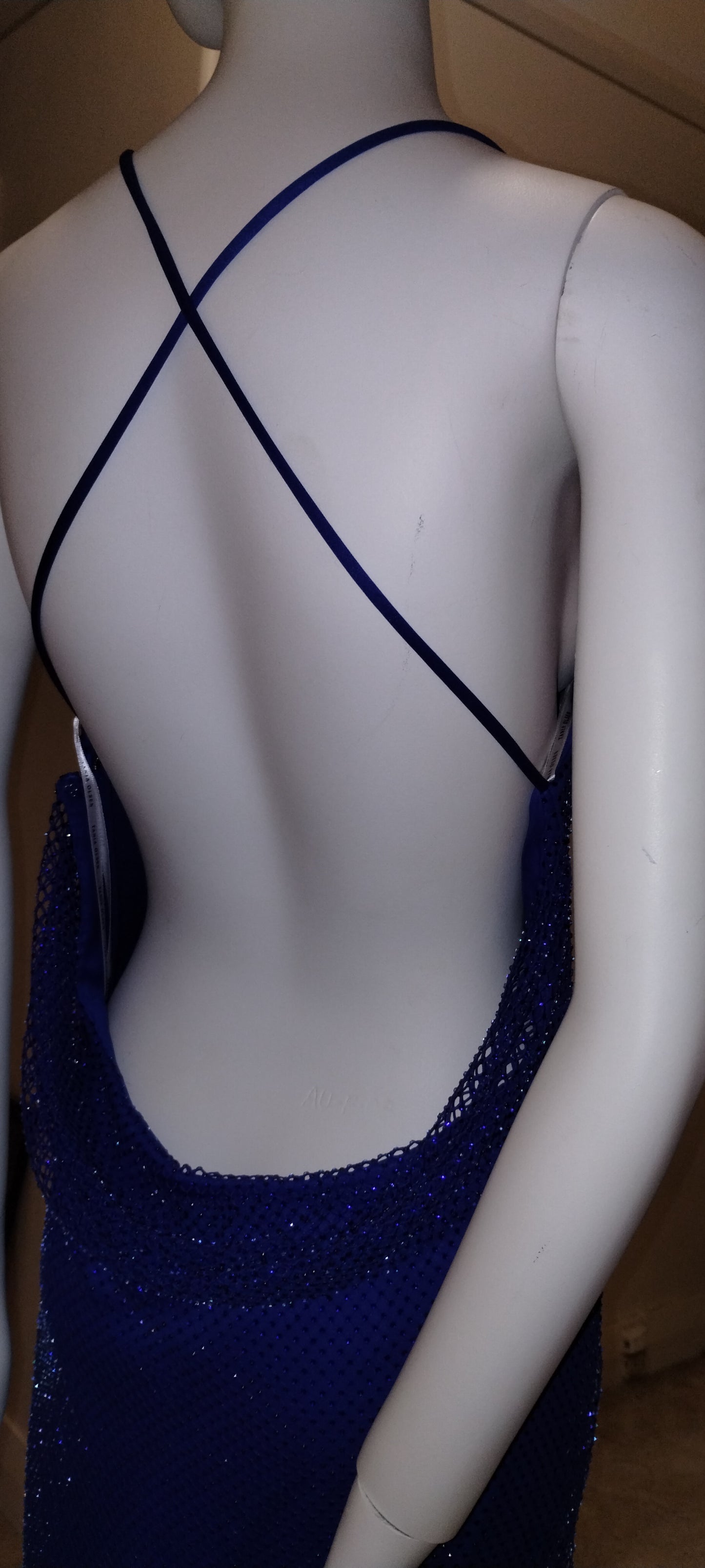 E Size 12 cobalt backless long dress