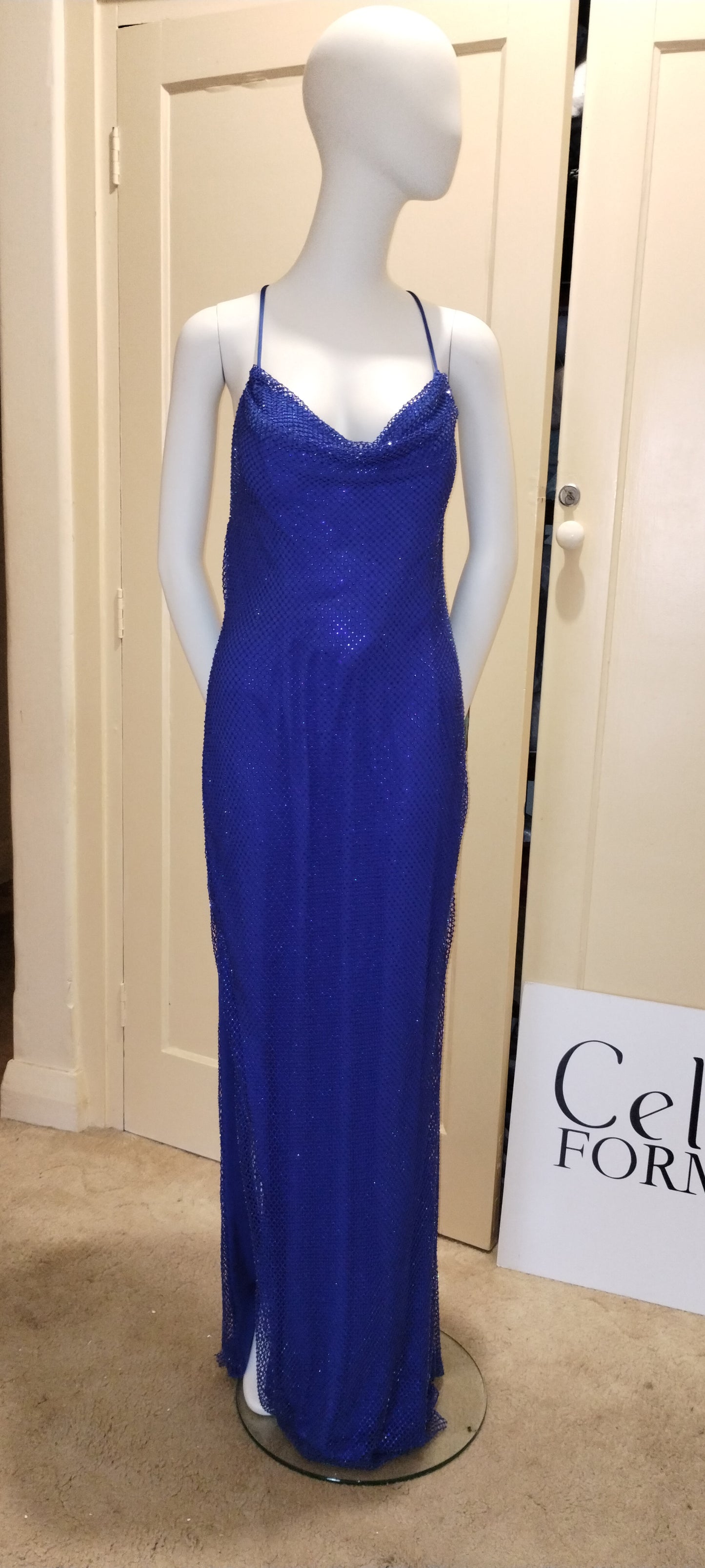 E Size 12 cobalt backless long dress
